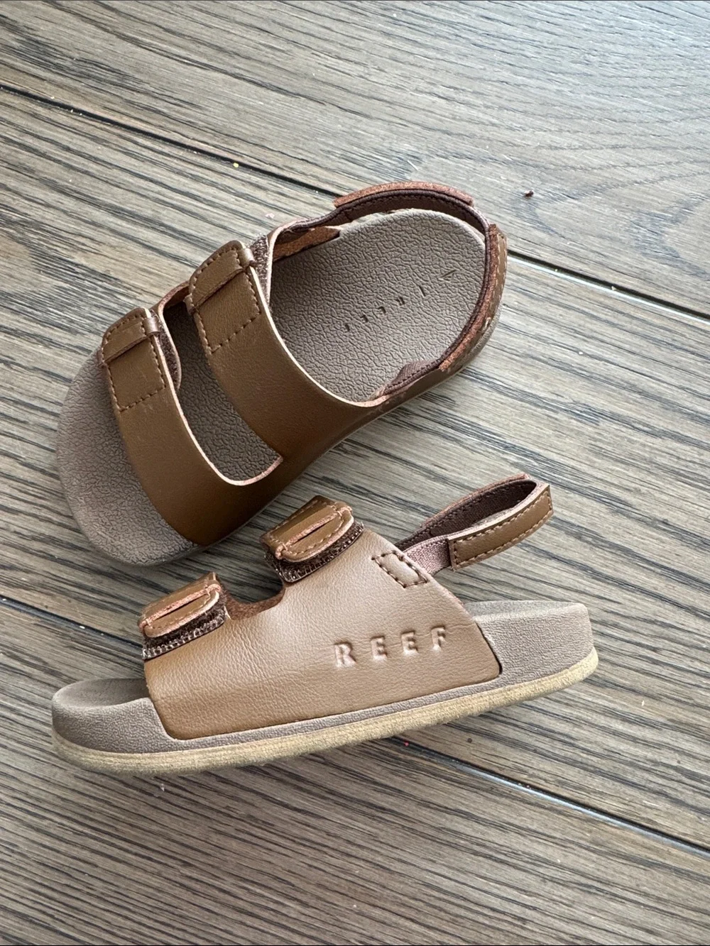 Reef toddler little